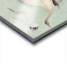 Great geese in flight 1925 - 1936 by Ohara Koson 1877-1945. Acrylic print