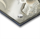 Long-eared owl in ginkgo 1900 - 1930 by Ohara Koson 1877-1945. Acrylic print