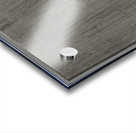 Snipe in the rain 1900 - 1930 by Ohara Koson 1877-1945. Acrylic print