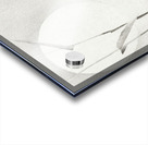 Goose at full moon 1900 - 1936 by Ohara Koson 1877-1945. Acrylic print