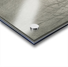 Moorhills between reeds 1900 - 1930 by Ohara Koson 1877-1945. Acrylic print