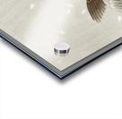 Tree sparrow with boy 1900 - 1936 by Ohara Koson 1877-1945. Acrylic print