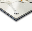 Two wild ducks in flight 1900 - 1936 by Ohara Koson 1877-1945. Acrylic print