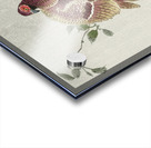 Copper pheasant 1900 - 1930 by Ohara Koson 1877-1945. Acrylic print