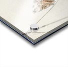 Ring sparrow on scarecrow 1900 - 1930 by Ohara Koson 1877-1945. Acrylic print