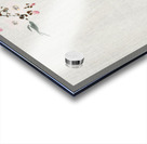 Two sable red tails with cherry blossom 1900 - 1936 by Ohara Koson 1877-1945. Acrylic print