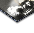 Hawk with sparrow 1900 - 1930 by Ohara Koson 1877-1945. Acrylic print