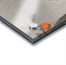 Monkey in cockatoo 1900 - 1930 by Ohara Koson 1877-1945. Acrylic print