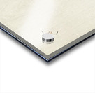 Gull on rock 1900 - 1910 by Ohara Koson 1877-1945. Acrylic print