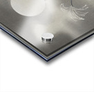 Gull on rock 1900 - 1910 by Ohara Koson 1877-1945. Acrylic print