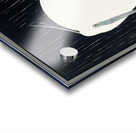 Egret in the rain 1925 - 1936 by Ohara Koson 1877-1945. Acrylic print