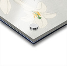 Lilies Ohara  1920 - 1930 by Ohara Koson 1877-1945. Acrylic print