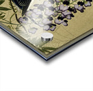 Flycatcher at wisteria 1900 - 1910 by Ohara Koson 1877-1945. Acrylic print