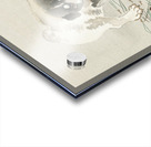 Young dog 1900 - 1930 by Ohara Koson 1877-1945. Acrylic print