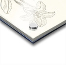 Rabbit at full moon 1900 - 1930 by Ohara Koson 1877-1945. Acrylic print