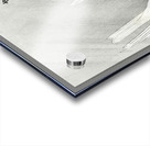 Hunting hawk 1900 - 1910 by Ohara Koson 1877-1945. Acrylic print