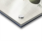 Frog on lotus leaf 1900 - 1930 by Ohara Koson 1877-1945. Acrylic print