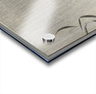 Kwak in rain 1900 - 1936 by Ohara Koson 1877-1945. Acrylic print