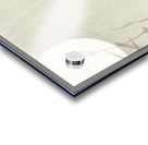 Black horseman on bamboo branch 1900 - 1936 by Ohara Koson1877-1945. Acrylic print