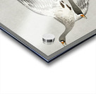 Great geese flying in the snow 1900 - 1910 by Ohara Koson 1877-1945. Acrylic print