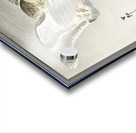 Two ducks at full moon 1900 - 1930 by Ohara Koson 1877-1945. Acrylic print