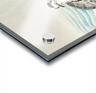 Large coot sandpipers 1900 - 1930 by Ohara Koson 1877-1945. Acrylic print