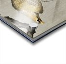 Eagle on branch 1900 - 1910 by Ohara Koson 1877-1945. Acrylic print