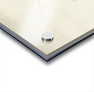 Grass and full moon 1900 - 1936 by Ohara Koson 1877-1945. Acrylic print