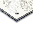 Blooming azalea in pot 1920 - 1930 by Ohara Koson 1877-1945. Acrylic print