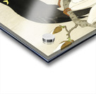 Myna on Magnolia Branch 1900 - 1910 by Ohara Koson 1877-1945. Acrylic print