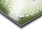 Peacock 1925 - 1936 by Ohara Koson 1877-1945. Acrylic print