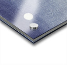 Three ducks in shallow water with reeds 1900 - 1930 by Ohara Koson 1877-1945. Acrylic print