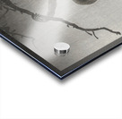 Monkey and reflection of the moon 1900 - 1936 by Ohara Koson 1877-1945. Acrylic print