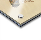 Pheasant on cherry blossom branch 1887-1945 by Ohara Koson 1877-1945. Impression Acrylique