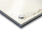 Couple pheasants and cherry blossom 1900 - 1936 by Ohara Koson 1877-1945. Acrylic print