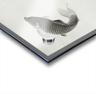 Three carps 1877-1945 by Ohara Koson 1877-1945. Impression Acrylique