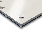 Quail at moon sickle 1900 - 1910 by Ohara Koson 1877-1945. Acrylic print