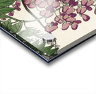 Blooming wisteria 1900 - 1930 by Ohara Koson1877-1945. Acrylic print