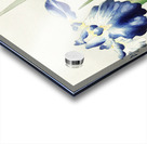 Irises 1900 - 1936 by Ohara Koson 1877-1945. Acrylic print