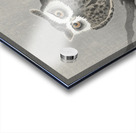 Long-eared owl on bare tree branch 1900 - 1930 by Ohara Koson 1877-1945. Acrylic print