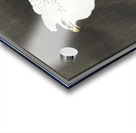 Snowy eagle on a tree branch 1910 - 1930 by Ohara Koson 1877-1945. Acrylic print