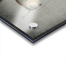 Buffalo wing shrike and spider 1900 - 1930 by Ohara Koson 1877-1945. Acrylic print