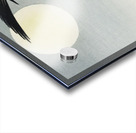 Birds at full moon 1900 - 1936 by Ohara Koson 1877-1945. Acrylic print