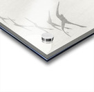 Two geese 1900 - 1910 by Ohara Koson 1877-1945. Acrylic print