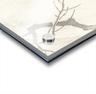 Eagle on tree branch 1900 - 1910 by Ohara Koson 1877-1945. Acrylic print