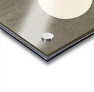 Blooming plum blossom at full moon 1900-1936 by Ohara Koson 1877-1945. Acrylic print