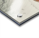 Two women in the rain 1925 - 1936 by Ohara Koson 1877-1945. Acrylic print