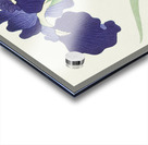 Waterhoots and iris 1925 - 1936 by Ohara Koson 1877-1945. Acrylic print