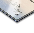 Five seagulls above the sea 1900 - 1945 by Ohara Koson 1877-1945. Acrylic print