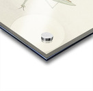 Praying mantis 1900 - 1936 by Ohara Koson 1877-1945. Acrylic print